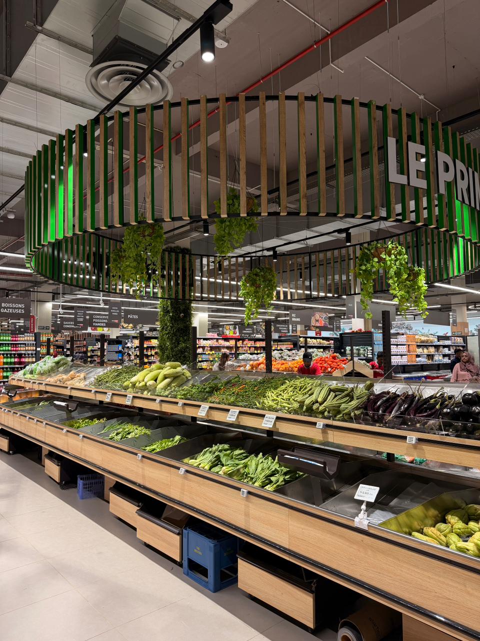 Modern Commercial Artificial Plants