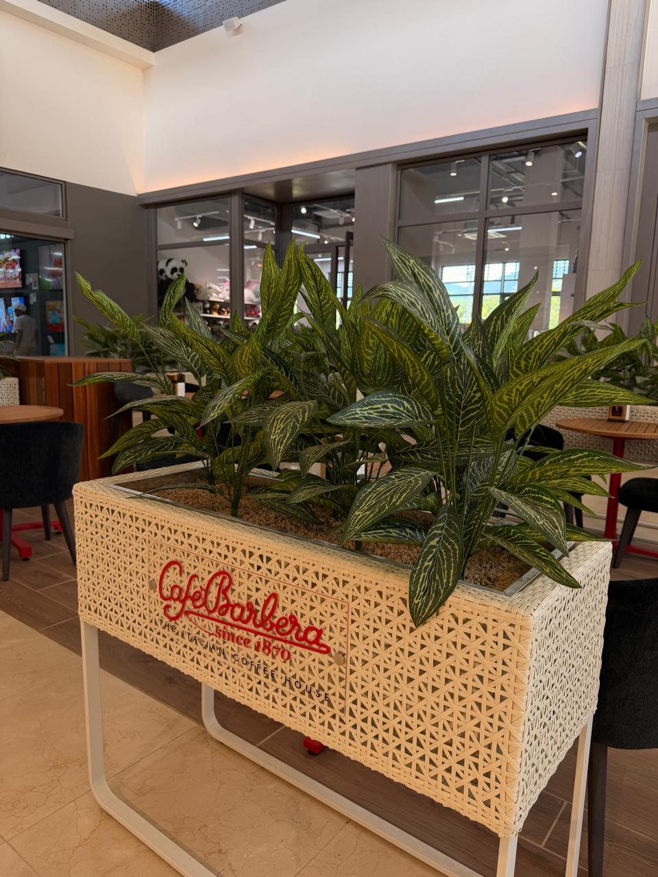 Wall Plants Installation Mauritius